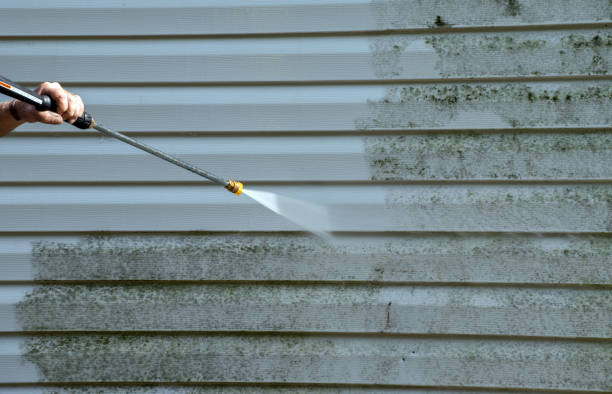 Professional Pressure Washing Services in Necedah, WI