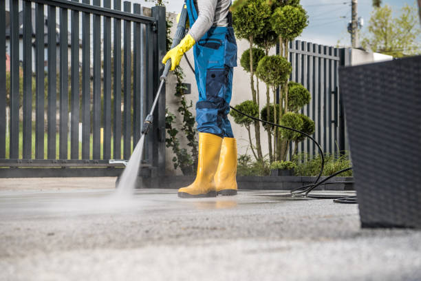 Best Pool Deck Cleaning in Necedah, WI